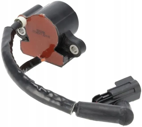 cewka-zaplonu-593856