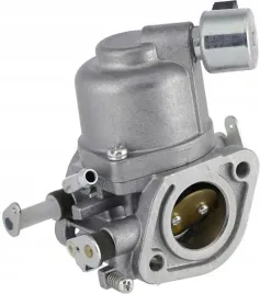 gaznik-597128-briggs-and-stratton