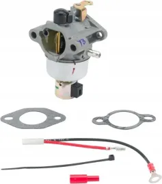 zestaw-gaznika-1285392s