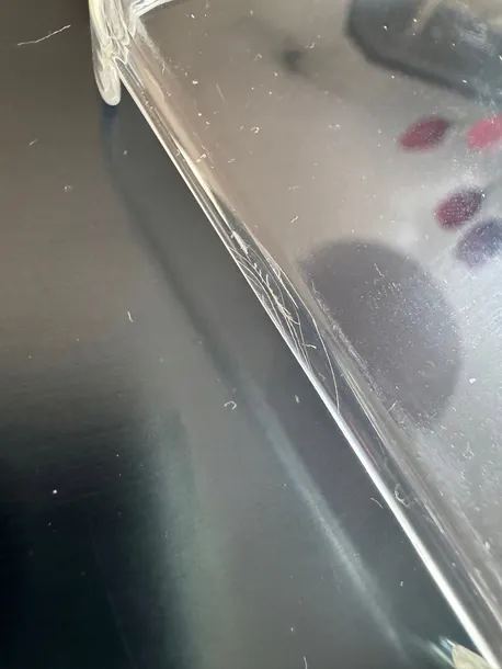 etui-iphone-15-plus-clear-magsafe-typ-plecki