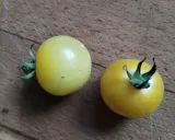 pomidor-snow-white-cherry10-nasion