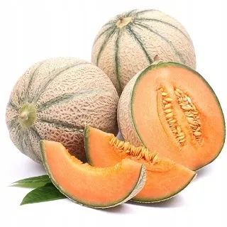melon-cukrowy-charentaise-nasiona