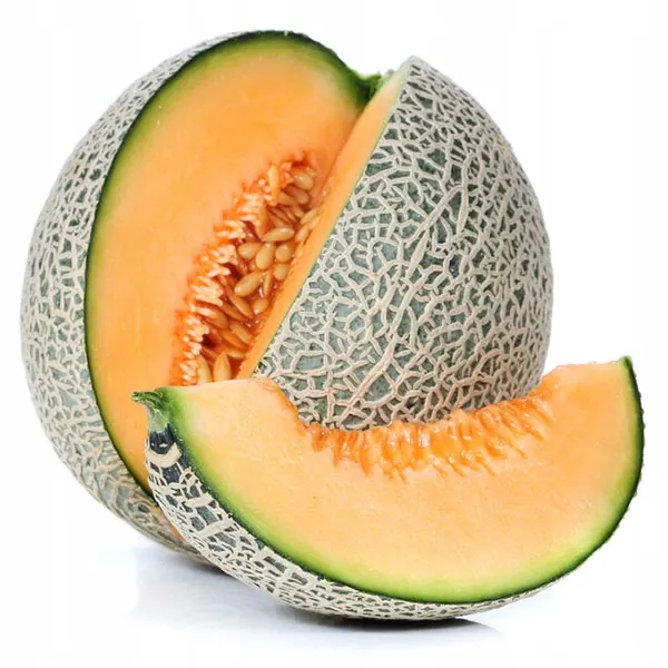 melon-cukrowy-charentaise-nasiona