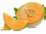 melon-cukrowy-charentaise-nasiona