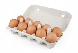 wytlaczanki-papierowe-wytloczki-na-10-jaj-x-50-sztuk