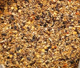 karma-kampol-o-mix-25kg-mg-0-mix-p-pozagatunkowa-dla-golebi-bp-r-super-cena