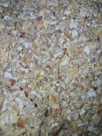karma-pasza-naturalna-bez-chemii-ziarno-dla-kur-niosek-kaczek-gesi-20kg