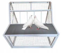 wlot-wylot-dla-golebi-ptakow-belgijski-80-cm-stal-malowana