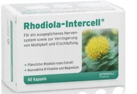 intercell-rhodiola-wyciag-z-rozenca-gorskiego