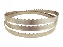 pila-tasmowa-do-drewna-40x11x4000-trak-brzeszczot