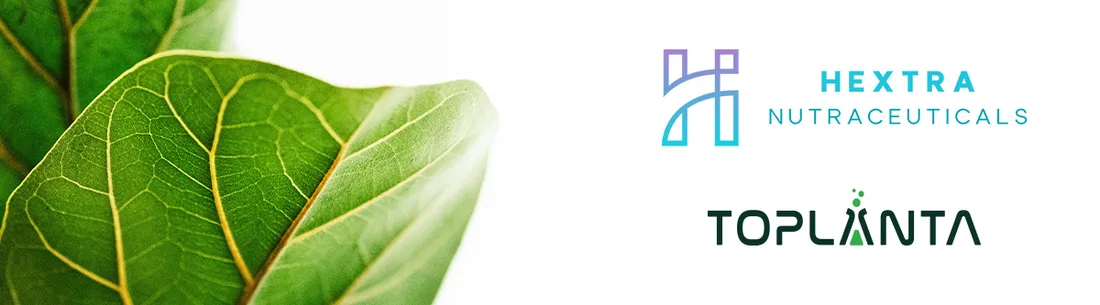 herbatka-konopna-plus-melisa
