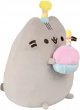 pusheen-z-tortem-stan-nowy