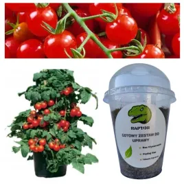 gotowy-zestaw-do-uprawy-pomidor-koktajlowy-vilma-nasiona