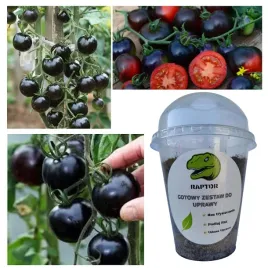gotowy-zestaw-do-uprawy-pomidor-black-ball-nasiona