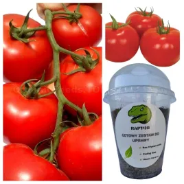 gotowy-zestaw-do-uprawy-pomidor-bobcat-f1-nasiona