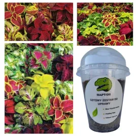 gotowy-zestaw-do-uprawy-koleus-mix-odmian-nasiona