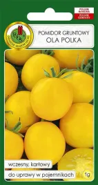 pomidor-gruntowy-ola-polka-1-g-pnos