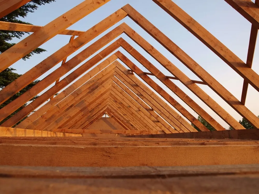 bochemit-do-drewna-na-plesn-grzyby-i-korniki-5kg