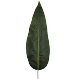 lisc-dlugi-m916-12-szt