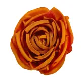 roza-wyr-orange-brown