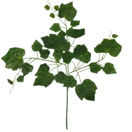 lisc-winogrono-duzy-ciemny-k15-3-27-12-szt