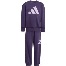 dres-mlodziezowy-adidas-essentials-joggers-fioletowy-jw2439