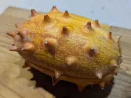 kiwano-cucumis-metuliferus-15-nasion