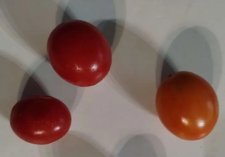 pomidor-cherry-dziki-10-nasion
