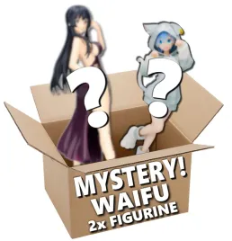 mystery-box-double-waifu