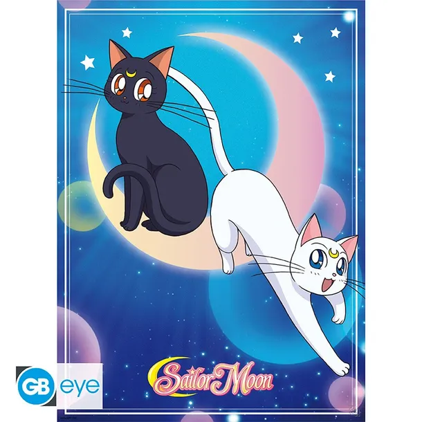 plakat-2szt-sailor-moon-rodzaj-gadzetu-ksiazkowy-komiksowy