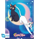 plakat-2szt-sailor-moon-rodzaj-gadzetu-ksiazkowy-komiksowy