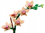 zestaw-lego-botanicals-10342-storczyk-plec-chlopcy-dziewczynki