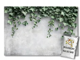 fototapeta-flizelina-sciana-szary-beton-pnacy-bluszcz-liscie-200x140-klej