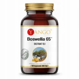 boswellia-65-60-kaps-stawy-uklad-oddechowy-pamiec