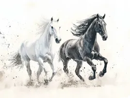 obraz-na-plotnie-canvas-akwarela-kon-konie-bialy-czarny-galop-cwal-100x75
