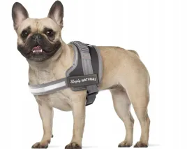 szelki-uprzaz-dla-psa-mocne-regulowane-anty-ciagnace-odblaskowe-rozmiar-m