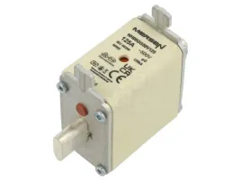 bezpiecznik-topikowy-125a-500vac-250vdc-gg-nh00