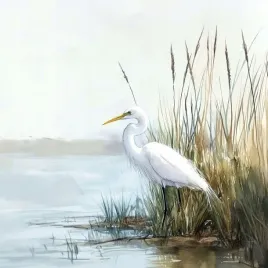 obraz-na-plotnie-canvas-przyroda-natura-biala-czapla-ptak-jezioro-40x40