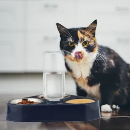 podwojna-miska-z-dozownikiem-wody-b47