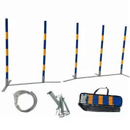 slalom-dla-psow-z-prowadnicami-trening-agility-zabawa-zwinnosc