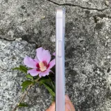 etui-przezroczyste-premium-do-iphone-14-pro-max-co2-kod-producenta-e0018