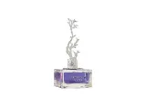 aurora-deciduous-winter-eau-de-parfum-for-women-100-ml