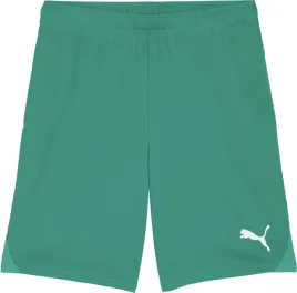 spodenki-meskie-puma-team-goal-zielone-705752-05-rozm-l
