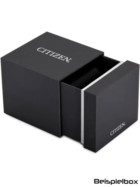 citizen-bn1024-01e-zegarek