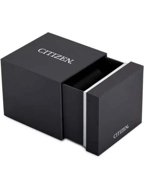 citizen-bf2013-56p-basic-zegarek