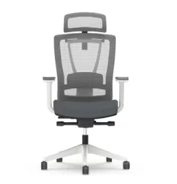 ergonomiczny-fotel-biurowy-flexispot-bs14
