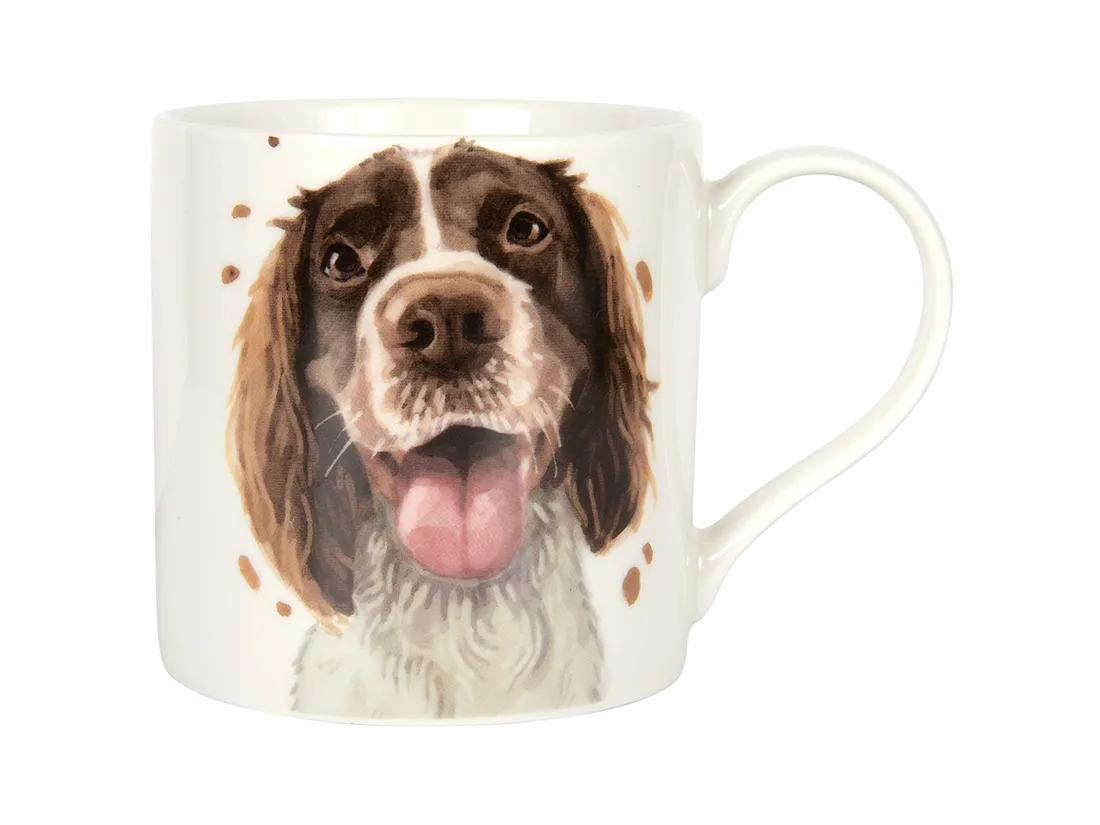 kubek-springer-spaniel