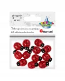 biedronki-drew-sam-a12-18x25