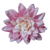 dalia-wyrobowa-mala