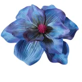 magnolia-wyrobowa-stan-nowy
